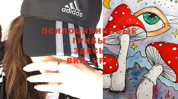 МДПВ Володарск
