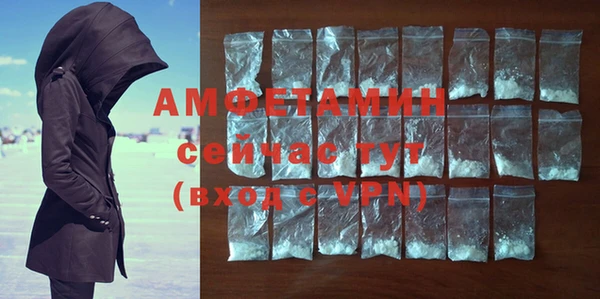 дживик Вязьма