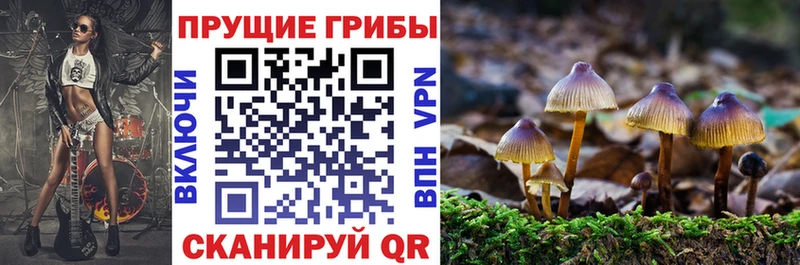 блэк спрут ССЫЛКА  Заозёрск  Псилоцибиновые грибы MAGIC MUSHROOMS 